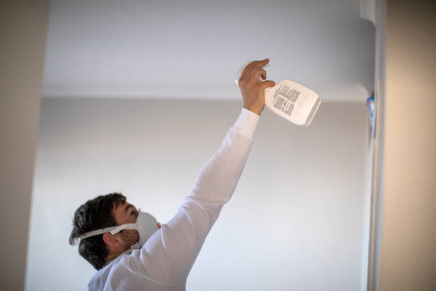 Attic Mold Removal in Greenville, NY